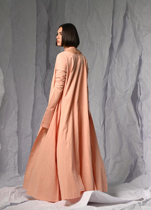 Apricot