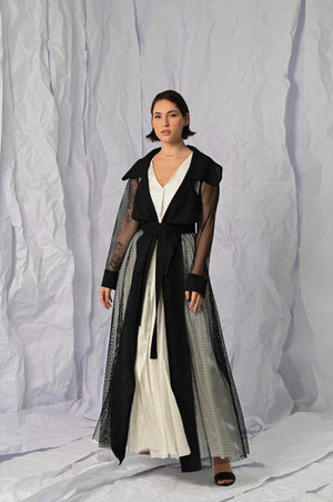 Mesh Silky Dress